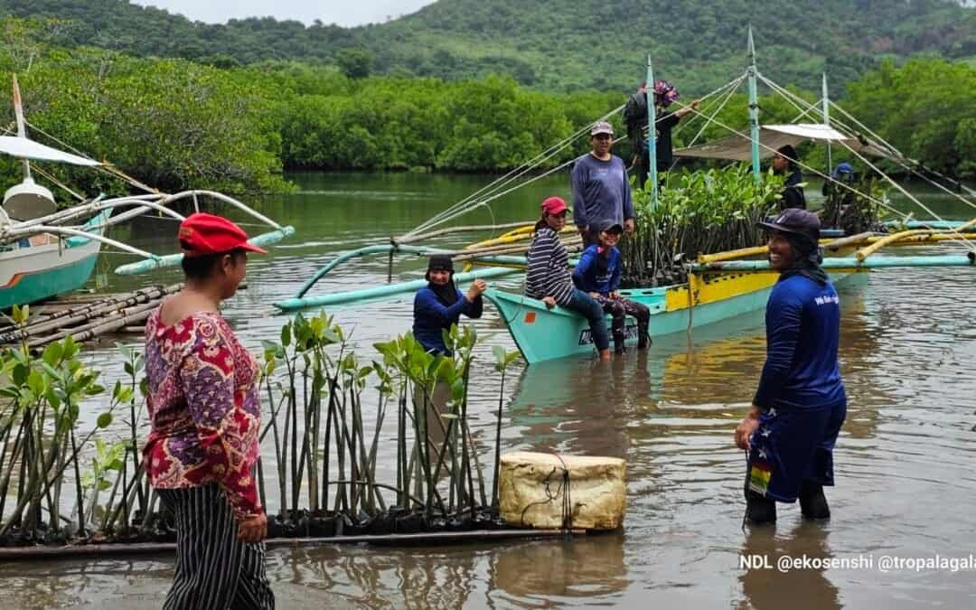 Culion Foundation Inc. and its LGU conducted monitoring of the mangrove nursery in Barangay Burabod, Culion, Palawan