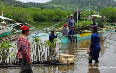 Culion Foundation Inc. and its LGU conducted monitoring of the mangrove nursery in Barangay Burabod, Culion, Palawan