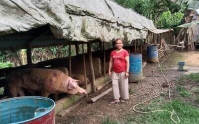 ASEDP Testimonials; Pandemic Recovery through ASEDP