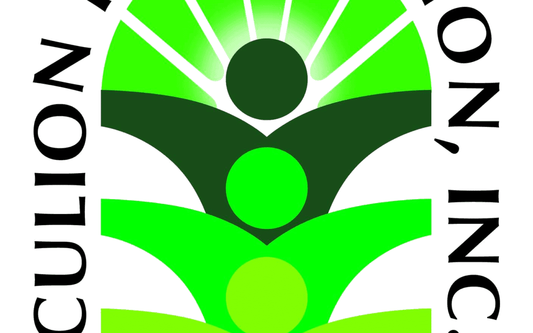 Research Abstract BHW Manual