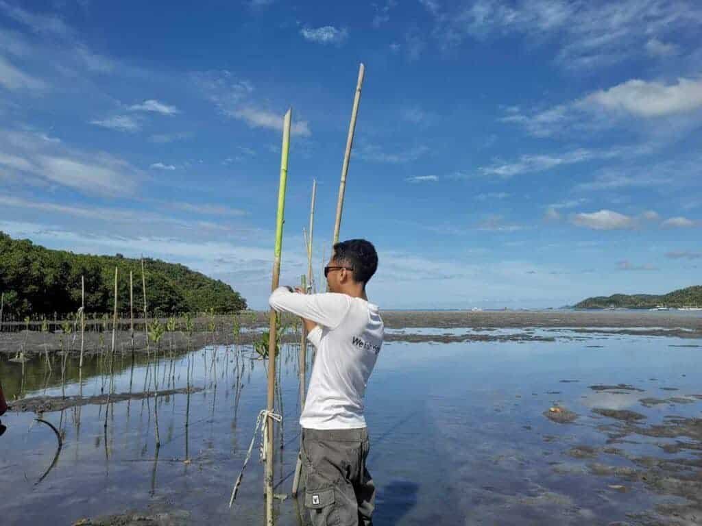 Snapshot from the field