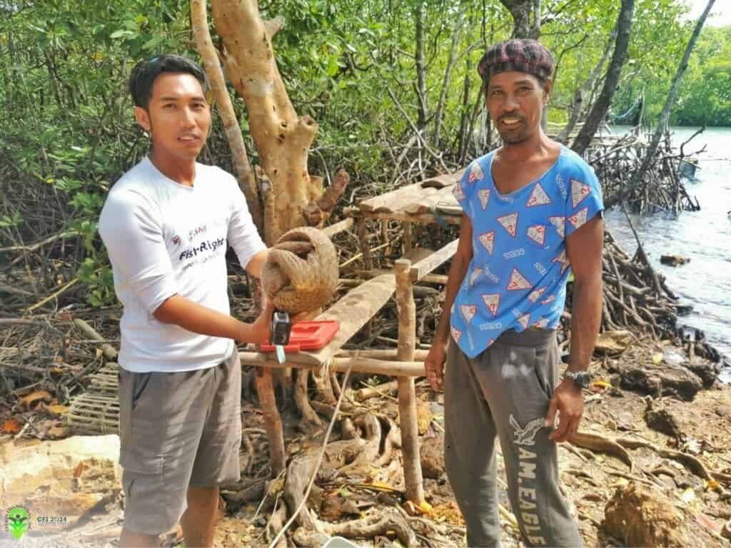 News Alert: Rare Palawan Pangolin Rescued by CFI Staff in Culion, Palawan