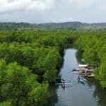 Photo from “Restoring Nature’s Guardians: Mangrove Rehabilitation in Sitio Ugnisan”, image 1