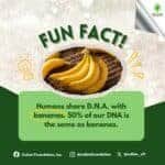 Photo from “4 Amazing Facts About Food!”, image 1