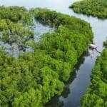 Photo from “Restoring Nature’s Guardians: Mangrove Rehabilitation in Sitio Ugnisan”, image 10