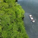 Photo from “Restoring Nature’s Guardians: Mangrove Rehabilitation in Sitio Ugnisan”, image 2