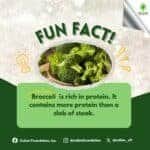 Photo from “4 Amazing Facts About Food!”, image 3