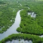 Photo from “Restoring Nature’s Guardians: Mangrove Rehabilitation in Sitio Ugnisan”, image 4