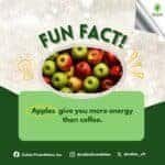 Photo from “4 Amazing Facts About Food!”, image 4