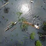 Photo from “Restoring Nature’s Guardians: Mangrove Rehabilitation in Sitio Ugnisan”, image 6