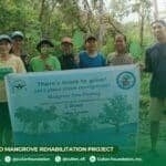 Photo from “CFI Staff Monitor Mangrove Restoration Efforts in Culion, Palawan”, image 4