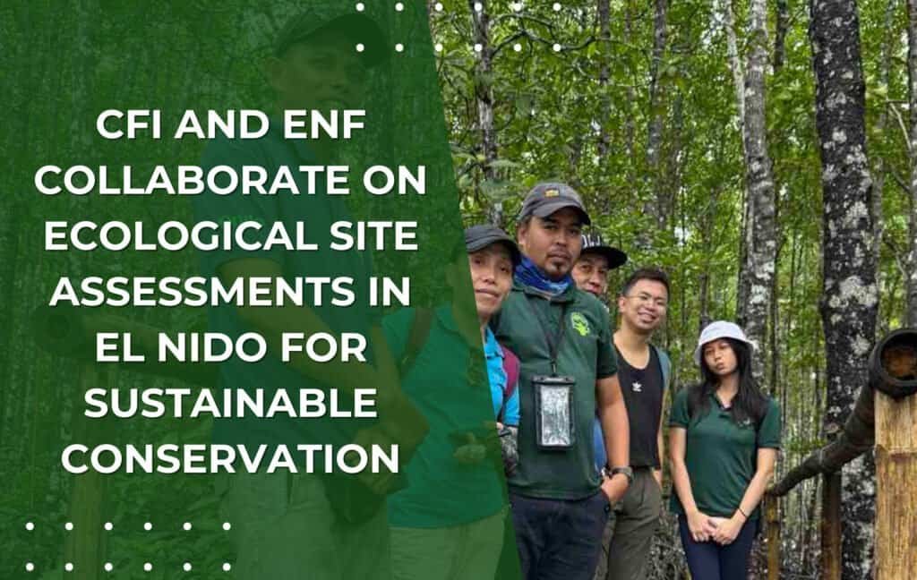 CFI and ENF Collaborate on Ecological Site Assessments in El Nido for Sustainable Conservation