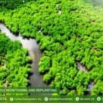 Photo from “Mangrove Reforestation: Sustainability for Sitio Ruyukan”, image 1