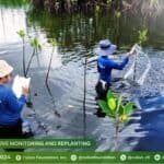 Photo from “Mangrove Reforestation: Sustainability for Sitio Ruyukan”, image 7