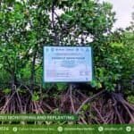Photo from “Mangrove Reforestation: Sustainability for Sitio Ruyukan”, image 8