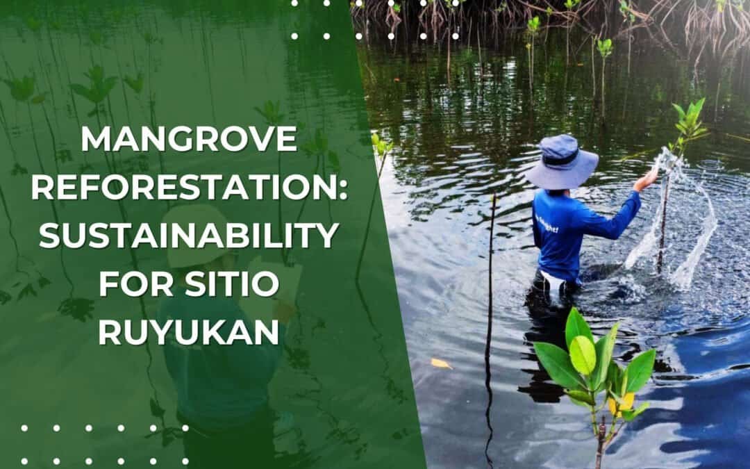 Mangrove Reforestation: Sustainability for Sitio Ruyukan