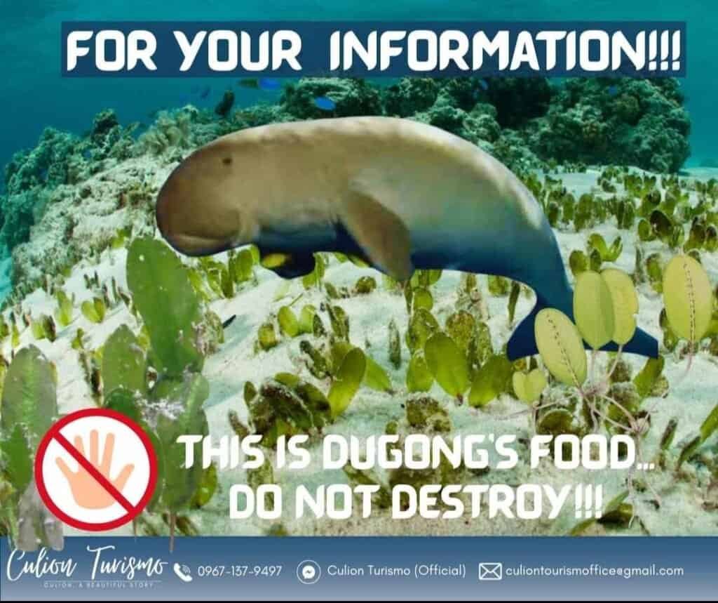CFI Collaborates with Culion LGU to Launch Task Force for Dugong Conservation