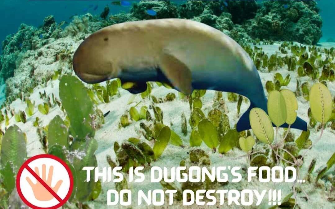 CFI Collaborates with Culion LGU to Launch Task Force for Dugong Conservation