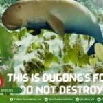 Photo from “CFI Collaborates with Culion LGU to Launch Task Force for Dugong Conservation”, image 3