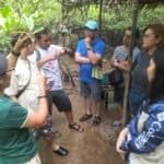 Photo from “CFI Showcases Mangrove Reforestation Practices in DENR Benchmarking Visit”, image 4