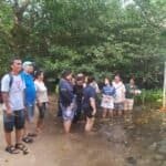 Photo from “CFI Showcases Mangrove Reforestation Practices in DENR Benchmarking Visit”, image 5