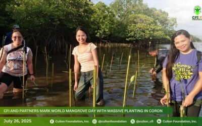 CFI and Partners Mark World Mangrove Day with Massive Planting in Coron