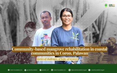Community-based mangrove rehabilitation in coastal communities in Coron, Palawan Stories of challenges, of hope, of recovery