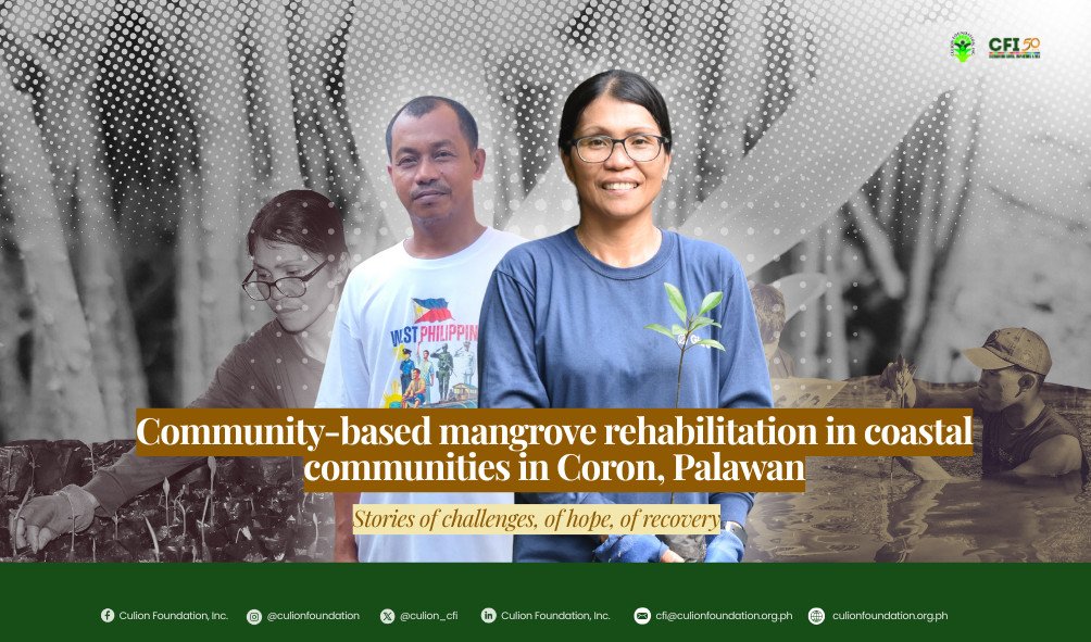 Community-based mangrove rehabilitation in coastal communities in Coron, Palawan Stories of challenges, of hope, of recovery