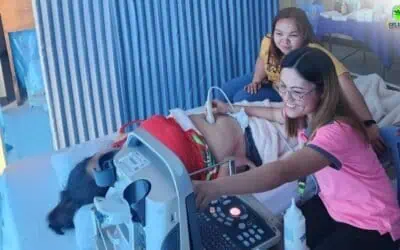 POCUS (Point of Care Ultrasound) project feature image
