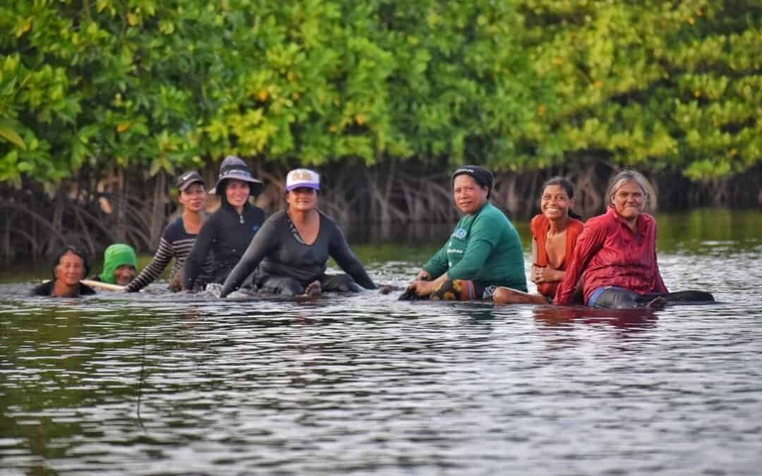 Integrated Coastal and Marine Management Towards Ecosystem and Community Resilience project feature image