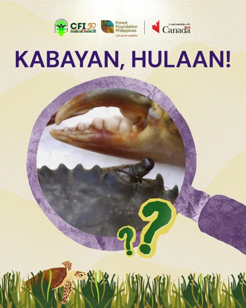 Kabayan Hulaan: Kampeon ng Hulaan