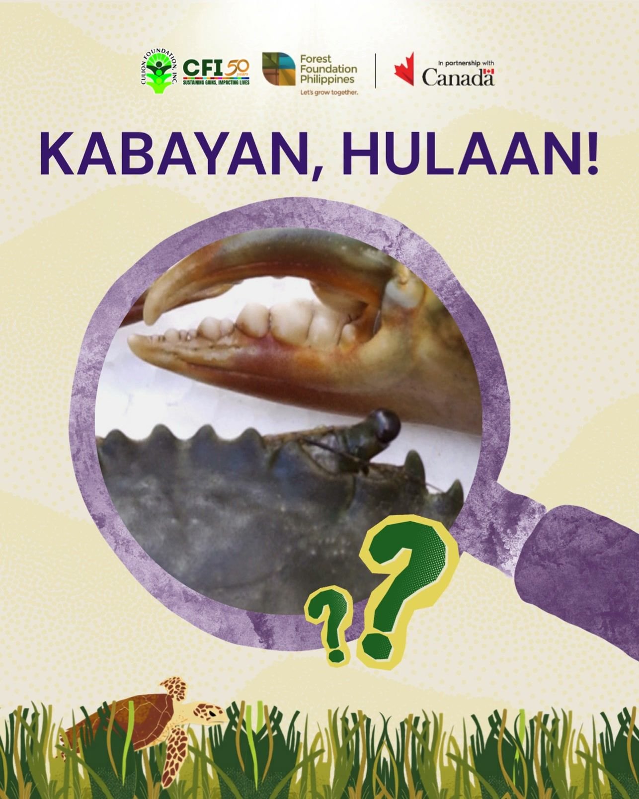 Kabayan Hulaan: Kampeon ng Hulaan