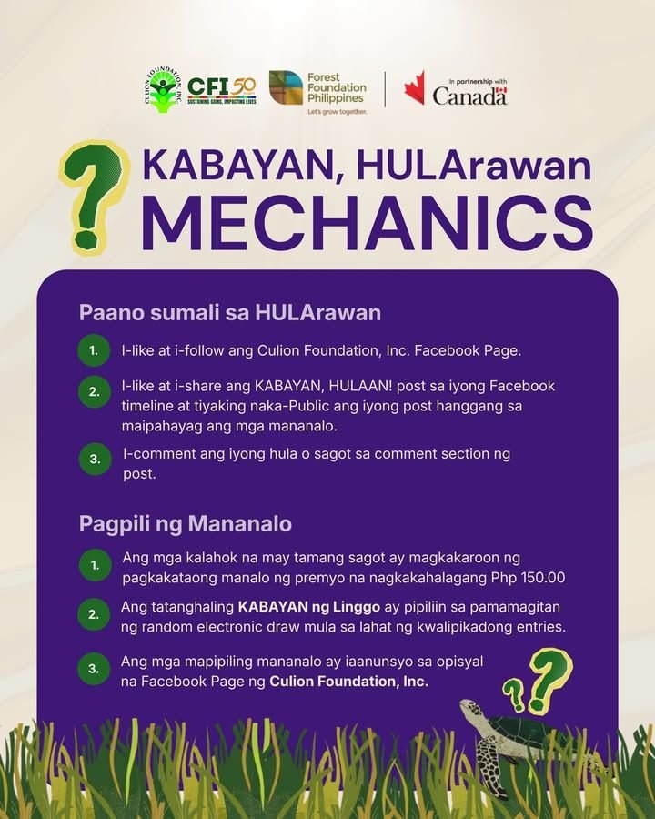 KABAYAN, HULArawan! | Apat na Larawan, Isang Salita