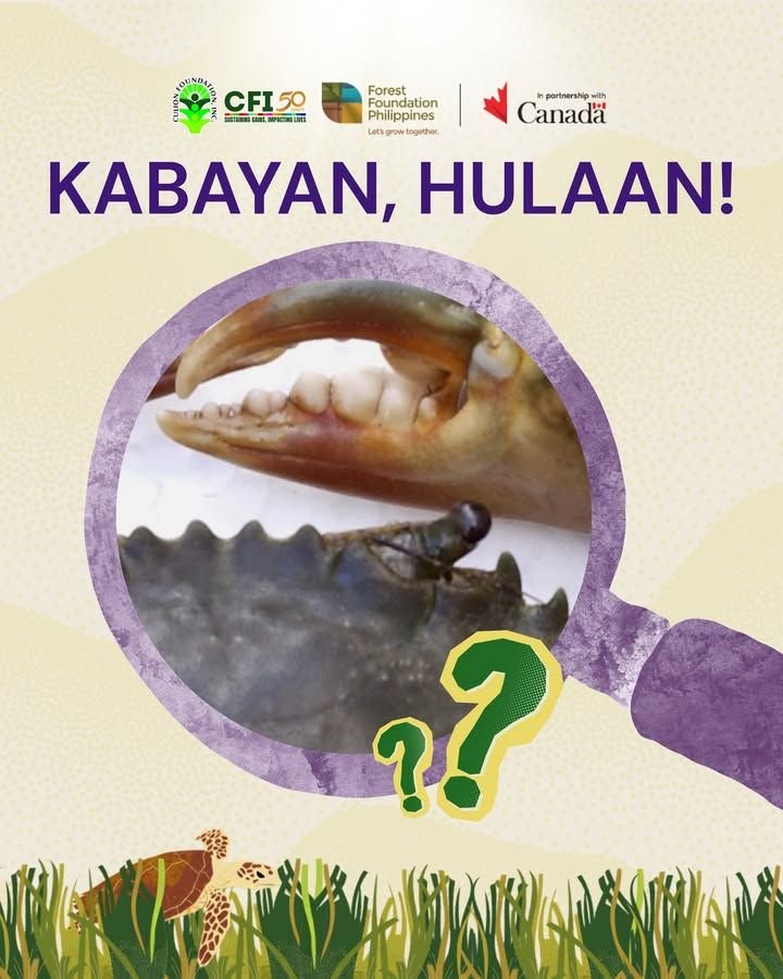 Photo from “Bagong Laro Bagong Kaalaman ng Kalikasan”, image 1