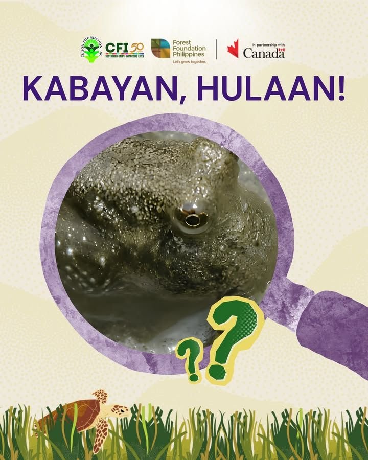 Photo from “Bagong Laro. Bagong Kaalaman. Bagong Kuwento ng Kalikasan!”, image 1