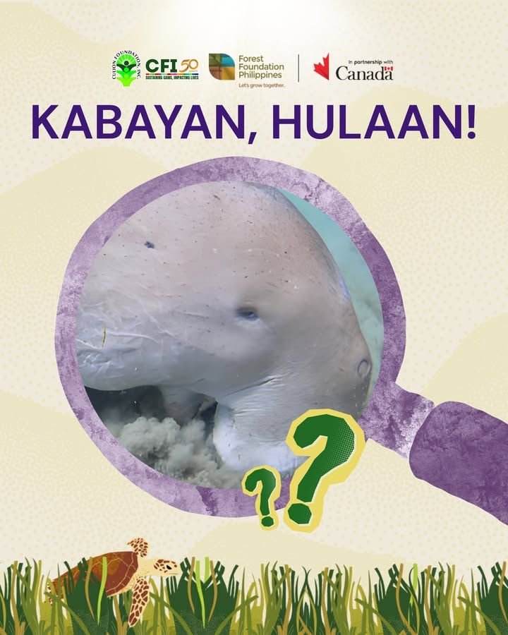 Photo from “Bagong Laro, Bagong Kaalaman ng Kalikasan”, image 1