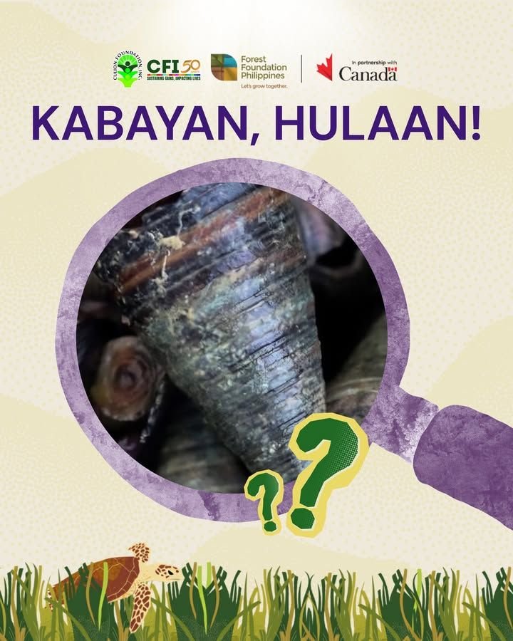Photo from “Bagong Laro Bagong Kaalaman Bagong Kuwento ng Kalikasan”, image 1