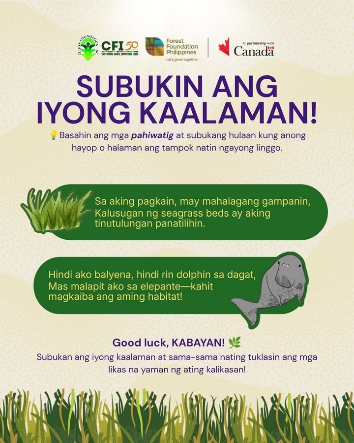 Photo from “Bagong Laro, Bagong Kaalaman ng Kalikasan”, image 2