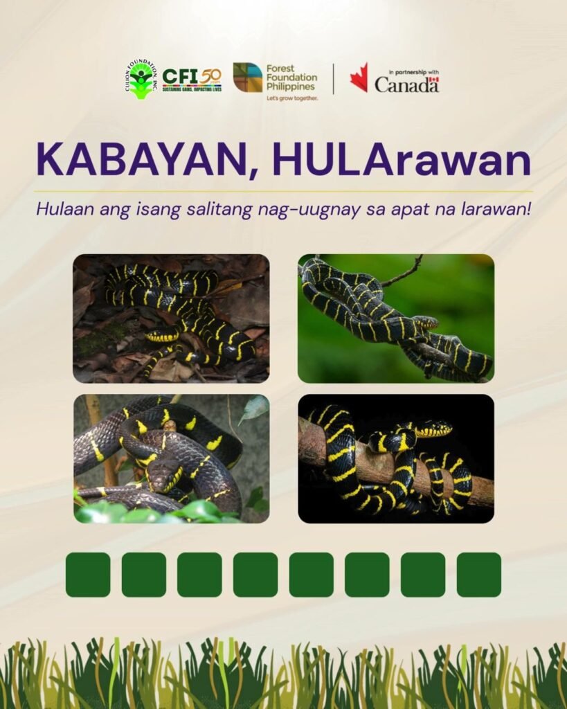 Apat na larawan Isang salita Isang panalo