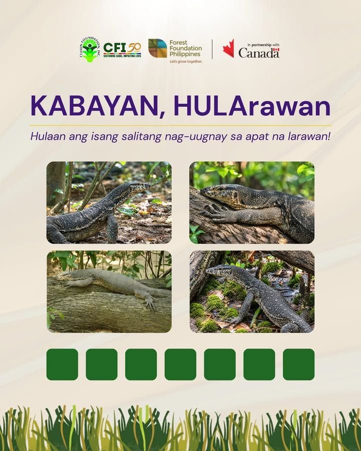 Photo from “KABAYAN, HULArawan! Apat na Larawan, Isang Salita”, image 1