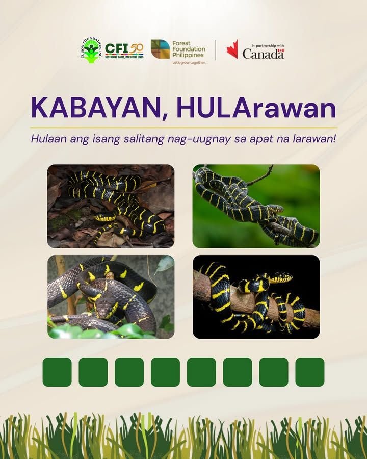 Photo from “KABAYAN, HULArawan! Apat na Larawan, Isang Salita”, image 1